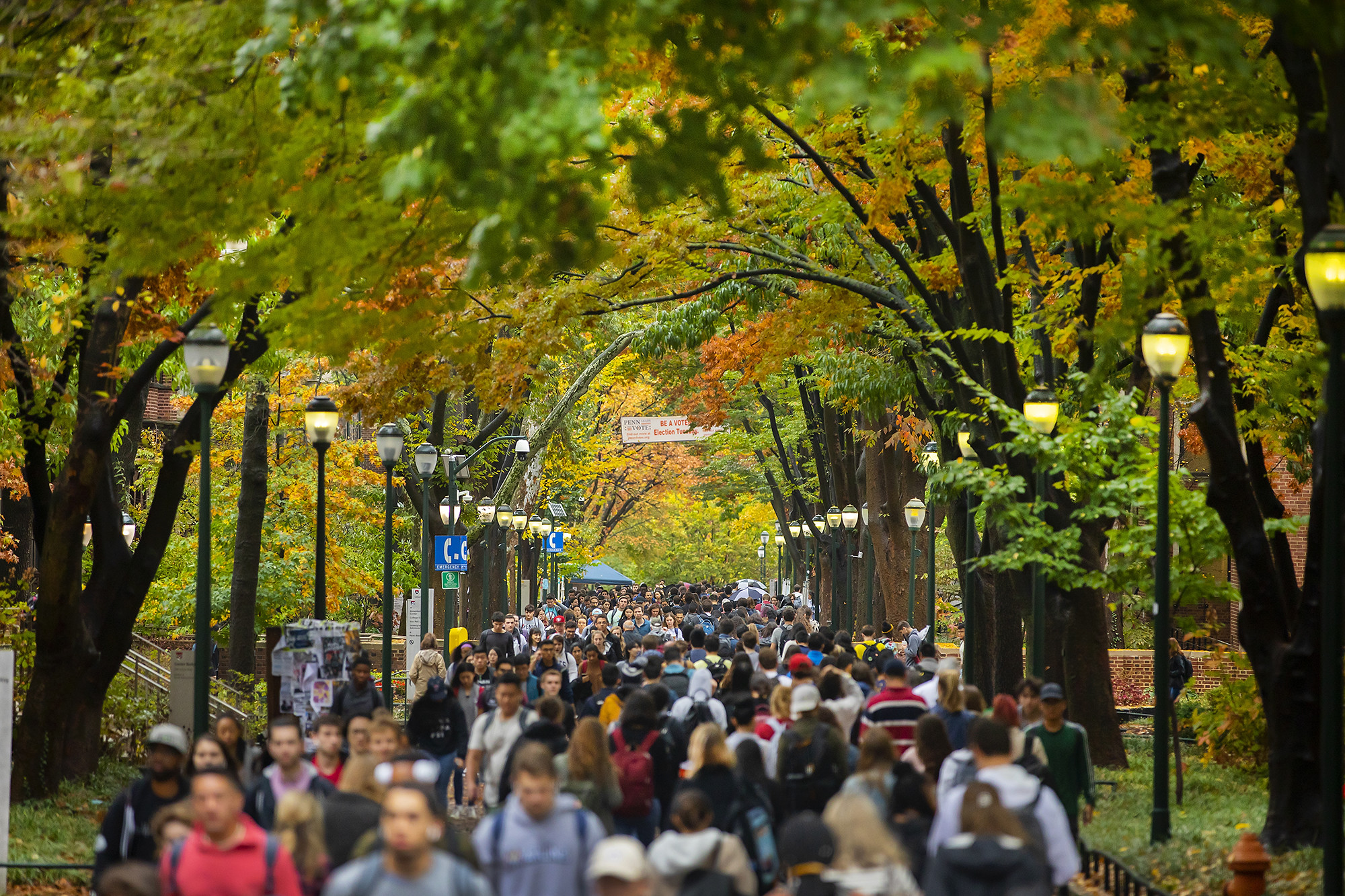 Students walk down tree covered path through Penn's urban campus