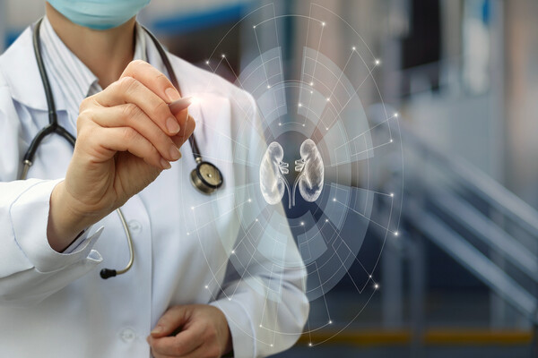 A doctor with a virtual pen hovering over a hologram of a kidney.