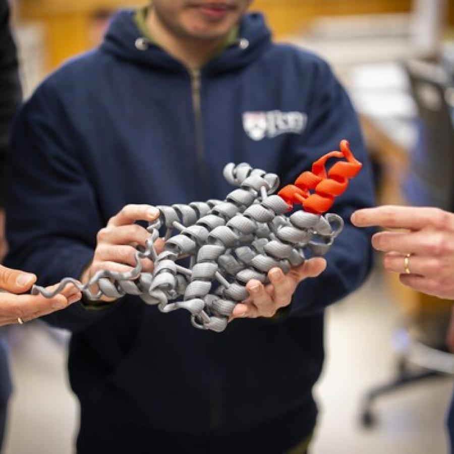 Scientists holding a model of something (forthcoming)